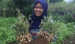 Co-Founder Garis Kebun, Diah Nurmalasari